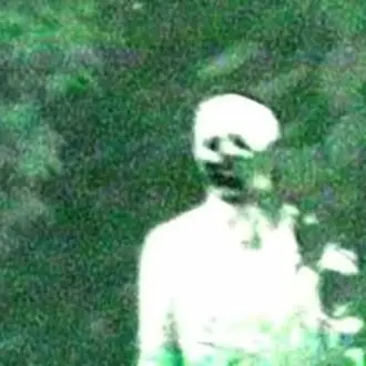 Profile image of The Mid-Stage Nester
