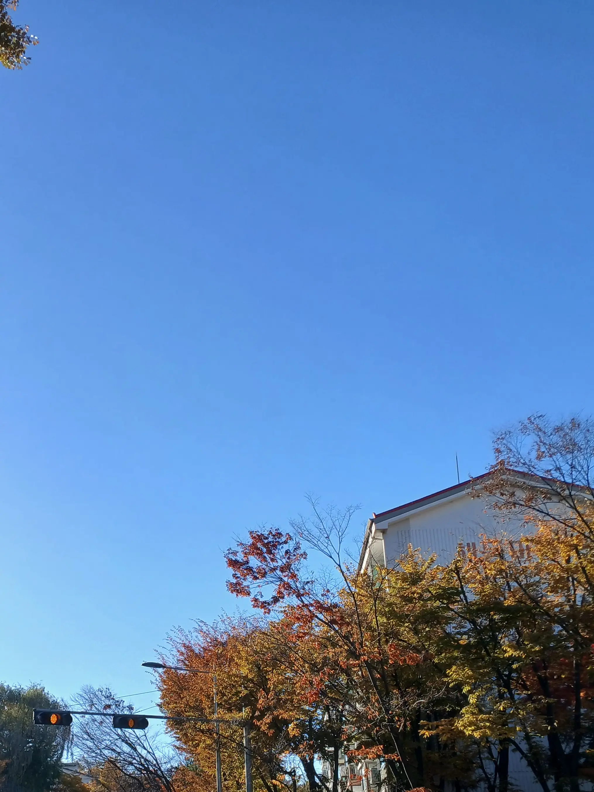 CmMh241024의 기억 화폐