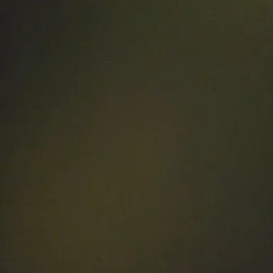 Profile image of 신유