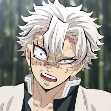 Profile image of 시나즈가와 사네미