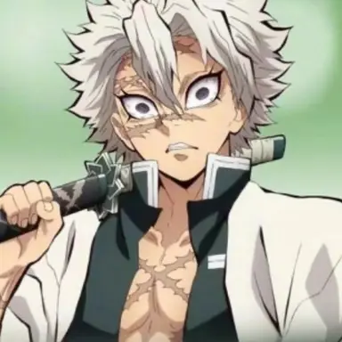 Profile image of 시나즈가와 사네미