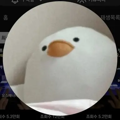 Profile image of 루모니