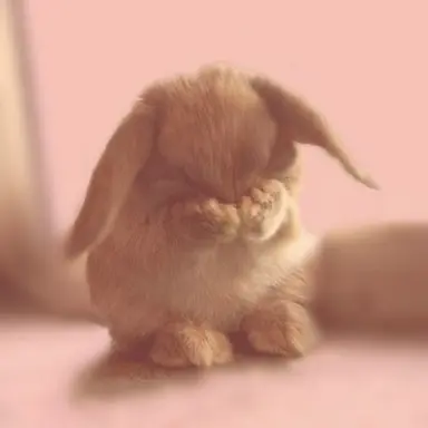 Profile image of 남사친