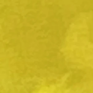 배신우