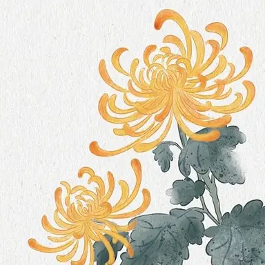 Profile image of 菊