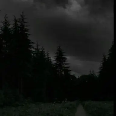 Profile image of logan