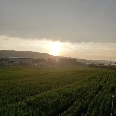 Profile image of 평학