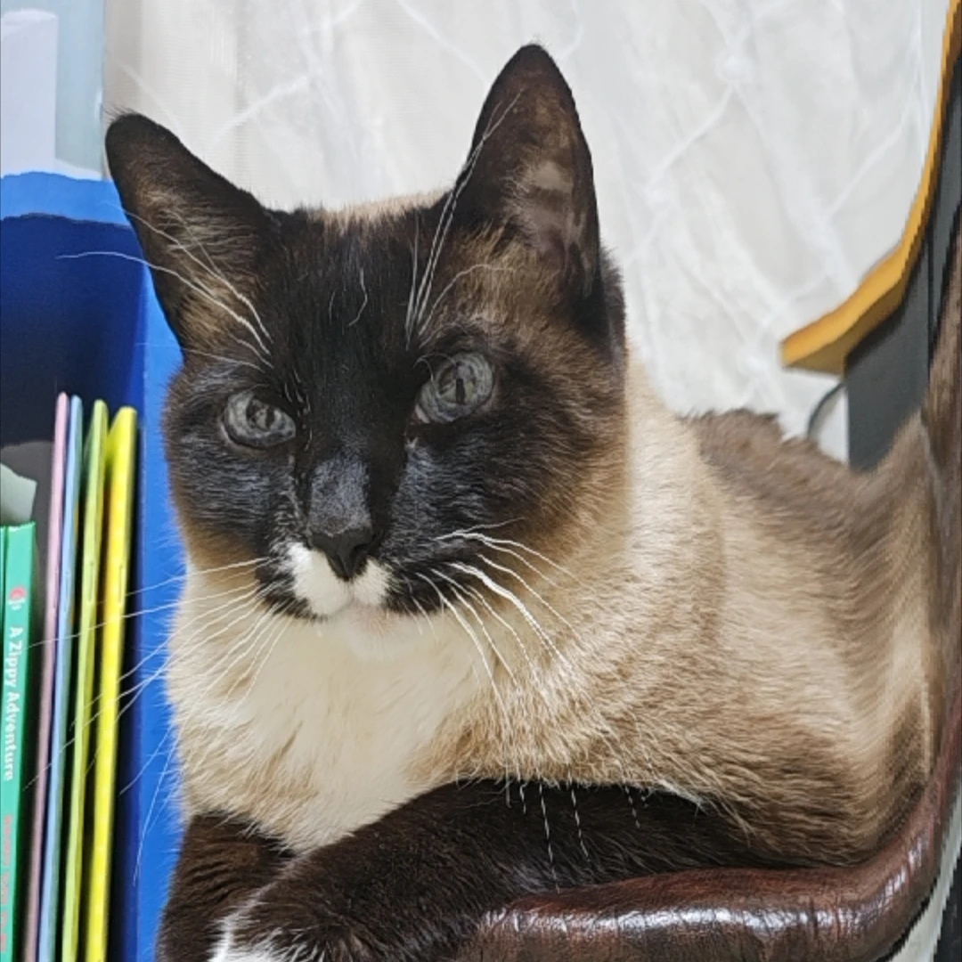 몰1루