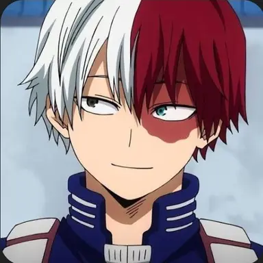 Profile image of Shoto Todoroki