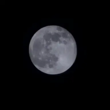 Profile image of Kael