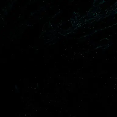 Profile image of 유아연