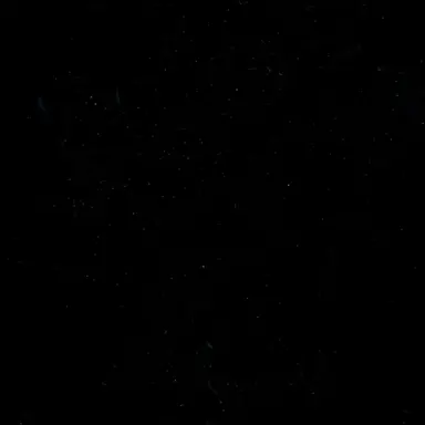 Profile image of 이서아