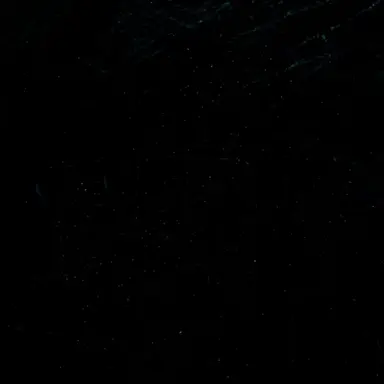 Profile image of 미하엘