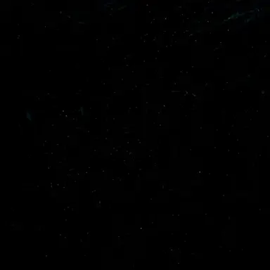 Profile image of 이은우