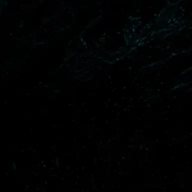 Profile image of 추서현