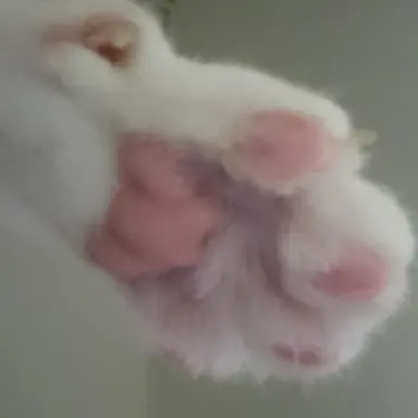 Profile image of 오신령