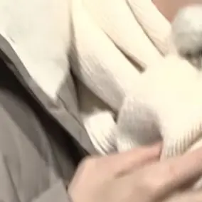 Profile image of ㅅㅂ