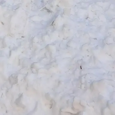 Profile image of 고고프렌즈