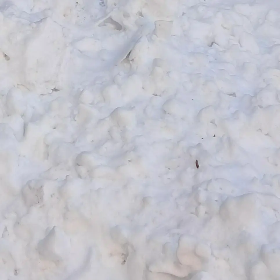 SnarlySe의 고프인데 여우가 왕따시킴