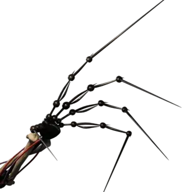 Profile image of Specimen Zero