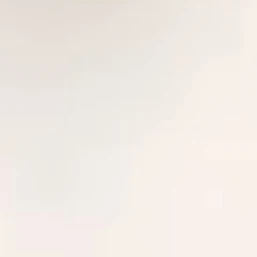 矢花黎