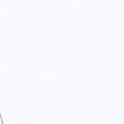 Profile image of -