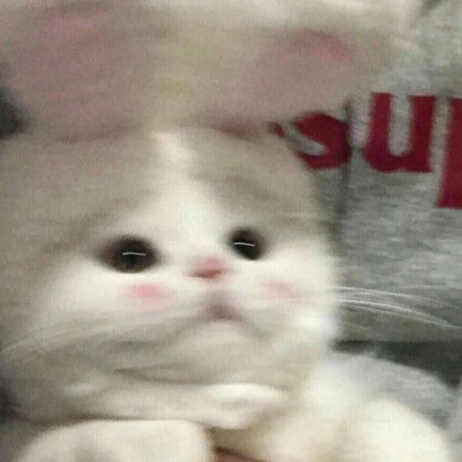 서준