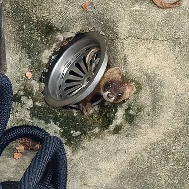 Profile image of 유지민