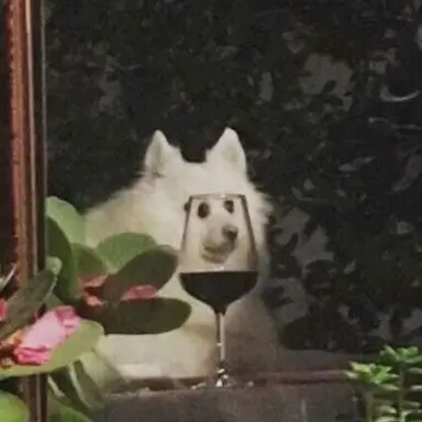 Profile image of 최한결