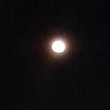 Profile image of Human Realm