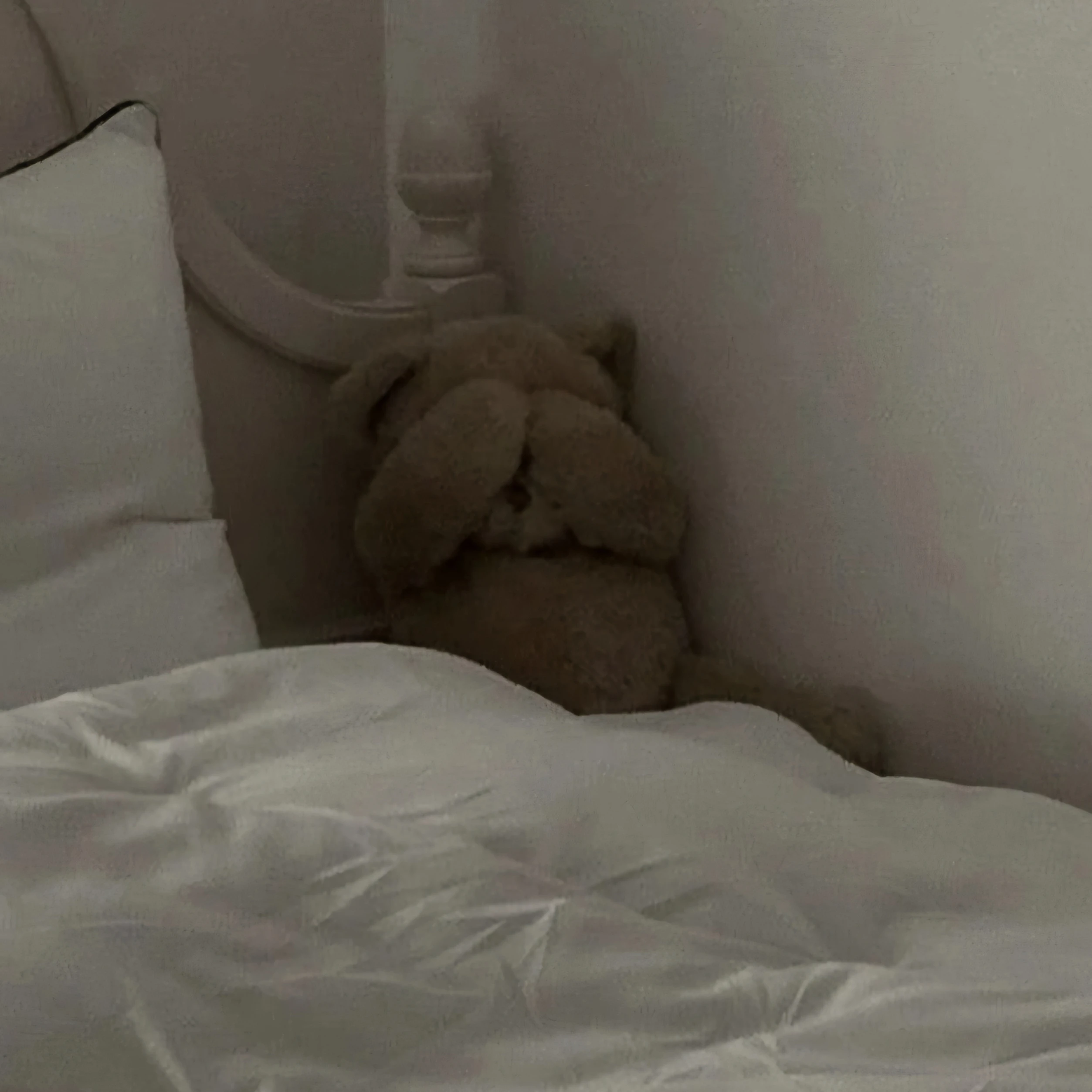 테디