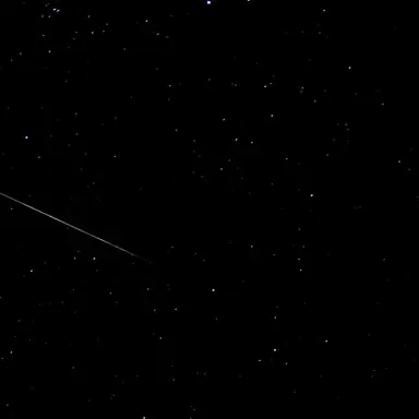 Profile image of くろくろ