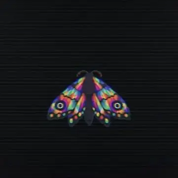 Profile image of 글리머