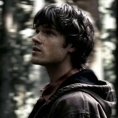 Profile image of sam winchester