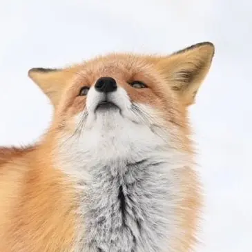 Profile image of 이케