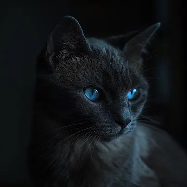 Profile image of Saku
