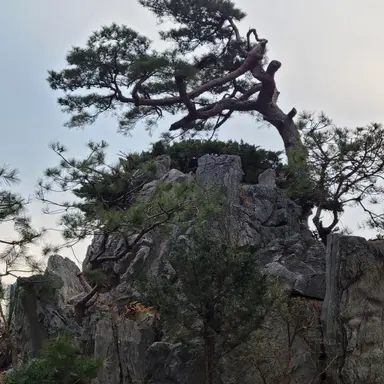 Profile image of 각별