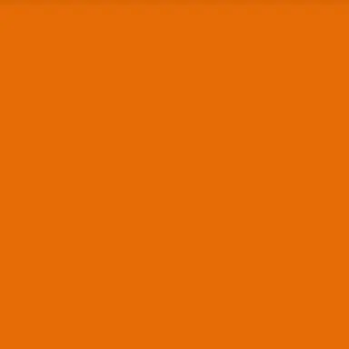 Profile image of 向井