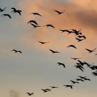 Profile image of 기새천