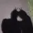 이준혁