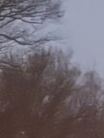 LeanerShot3701의 最近入ってきた新人(自分用BL)