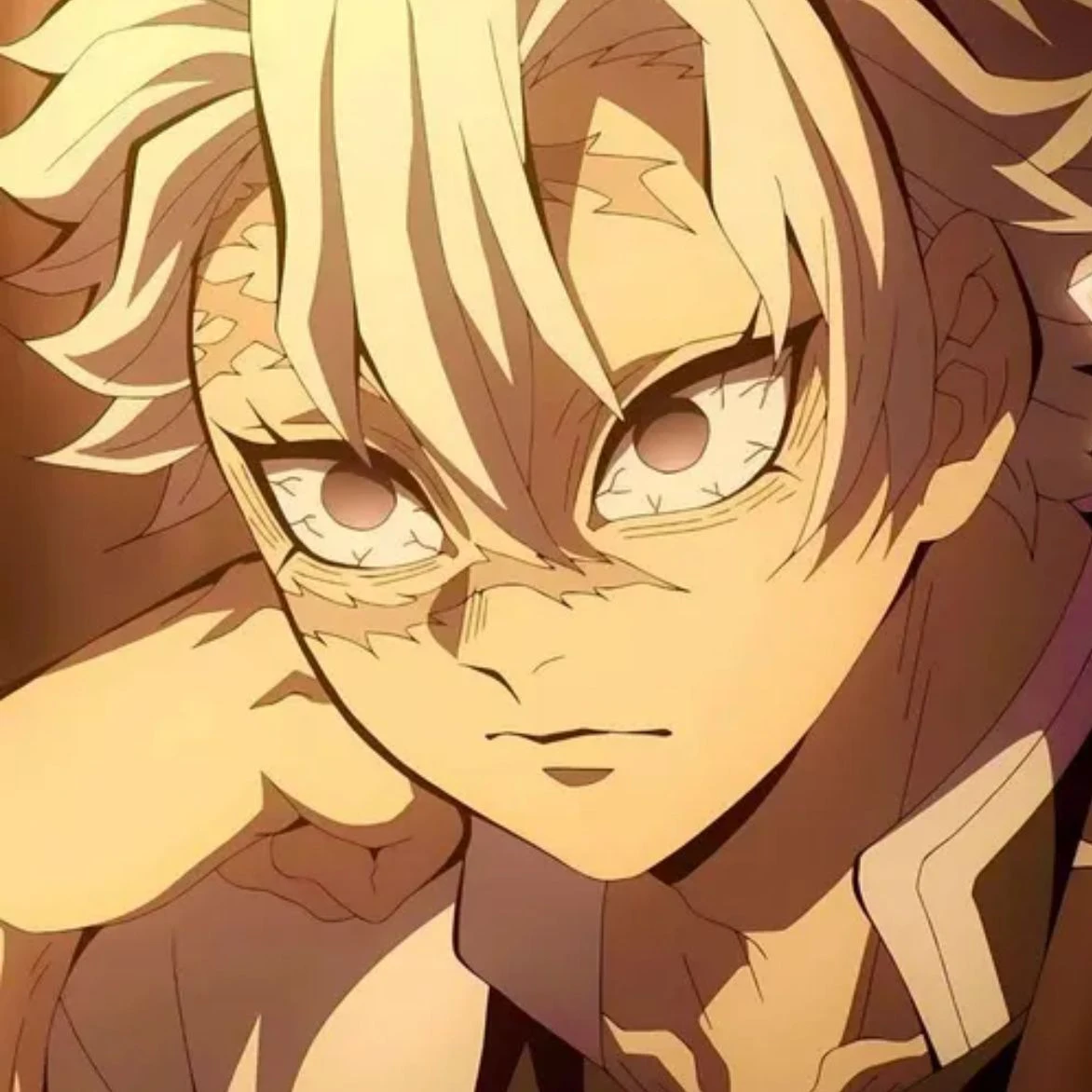 시나즈가와 사네미