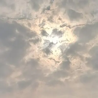 Profile image of 강히나