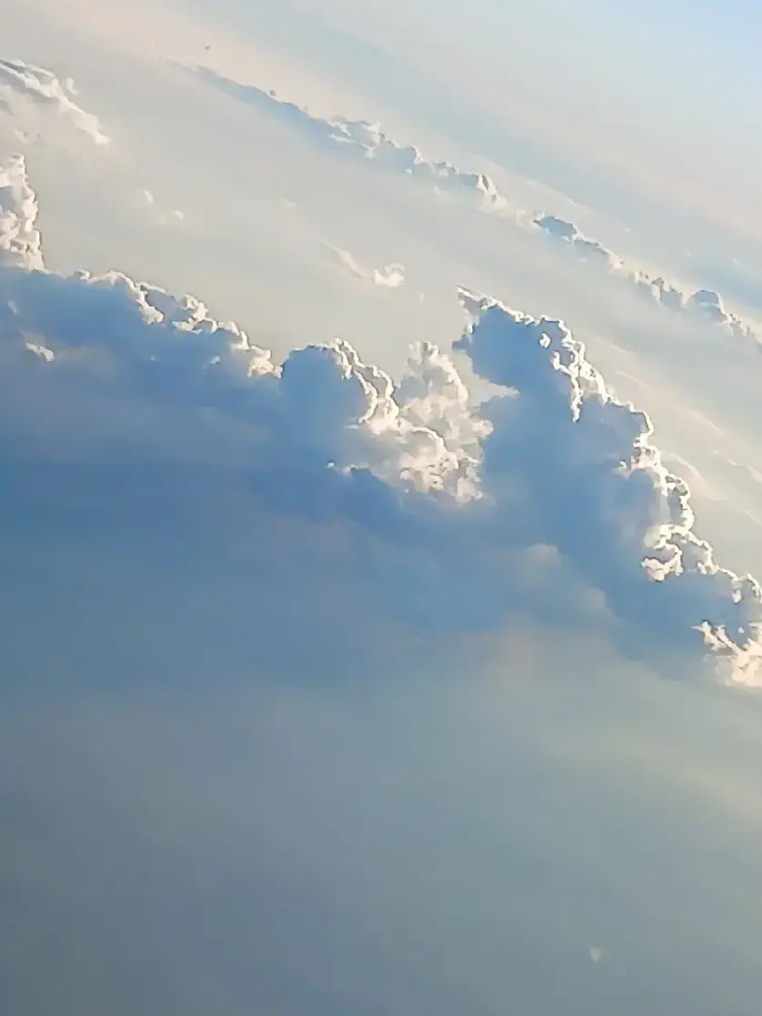 Pyuredayo의 アメリカへ留学！！