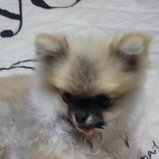 흑임쟈 대표 이미지