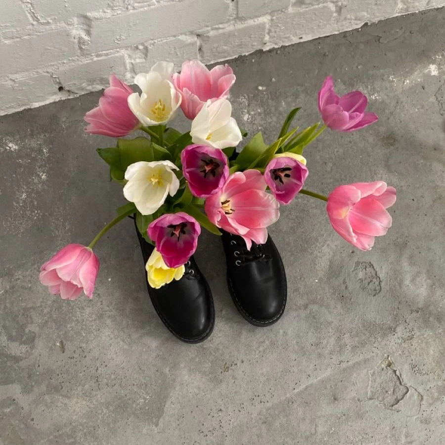 朝光