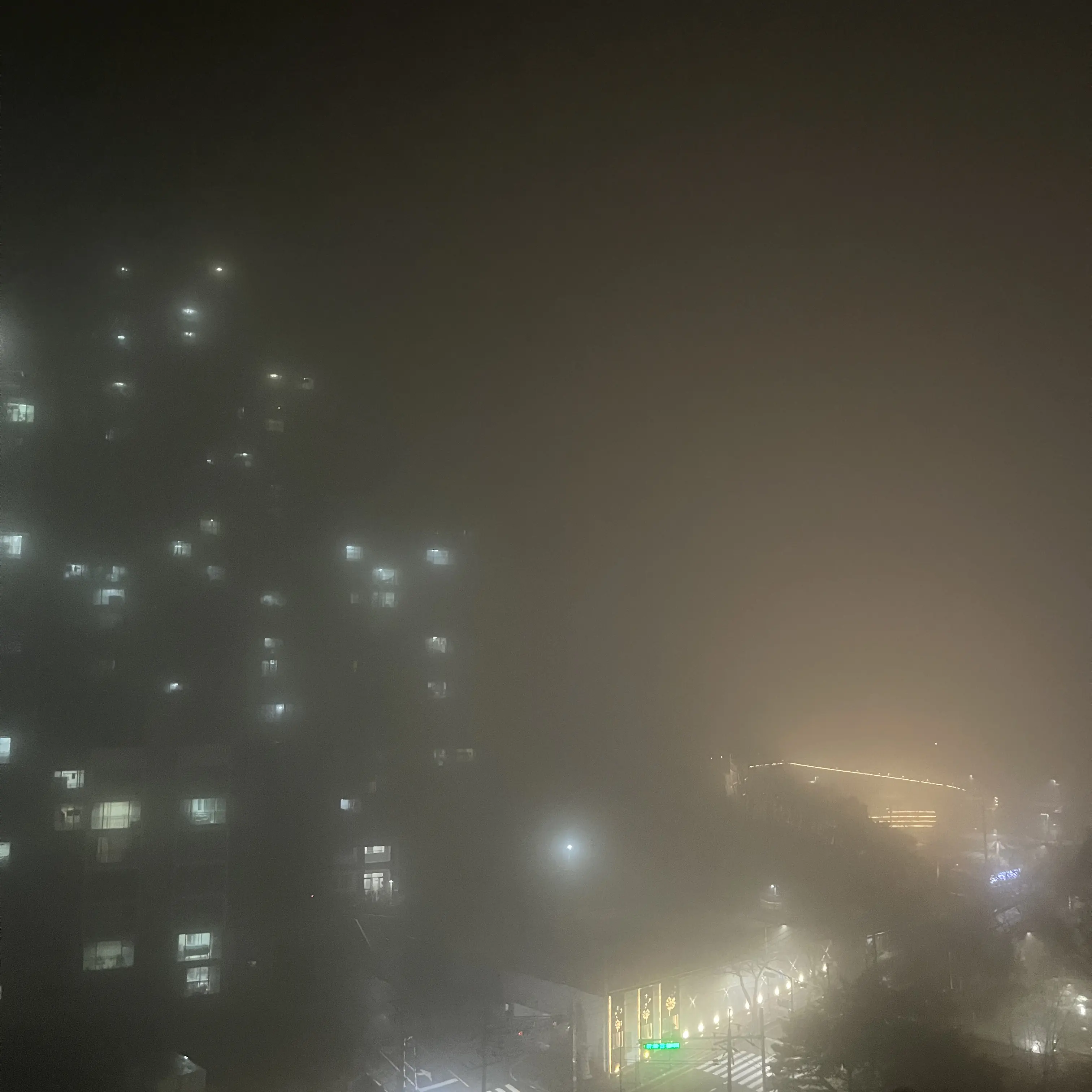 RareLake9309의 김밍구