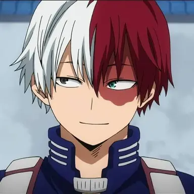 Profile image of Shoto Todoroki
