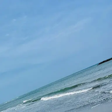 Profile image of 荼毘