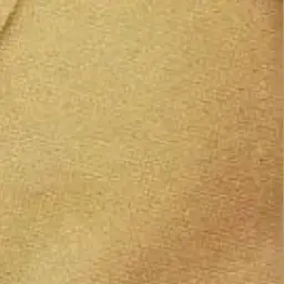 Profile image of 岩本  照